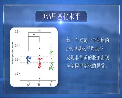 深圳试管供卵借卵代生的温暖旅程：新生命的希望与专业指南