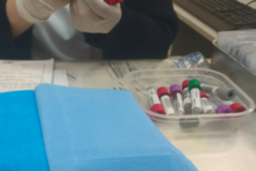 合肥三代试管助孕指南：供卵代怀圆梦之路与费用解析